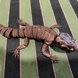 Leopard Gecko Articulated Toy, Print-In-Place Body, Snap-Fit Head, Cute Flexi