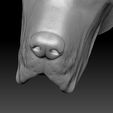 20.jpg Great Dane head for 3D printing
