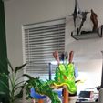 shenron artikuliert