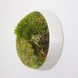 ISORA_vertical garden_Página_02.jpg STL-Datei "Isora Collection" Vertikaler Garten für Moose・3D-druckbare Vorlage zum herunterladen