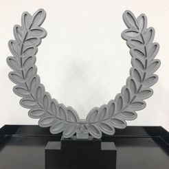 IMG-2464.jpg Trophy