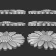 03.jpg Fleurs de marguerite bas relief modèle 3D