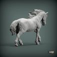 Percheron-running6.jpg Percheron läuft 3D-Druckmodell