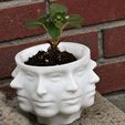 IMG_3517.jpg Polyface  PLANTER - PLANTER - POT