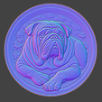 DOG28_IMAGE.png DOG 28