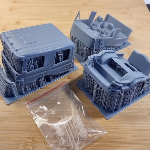 Scania P310 CrewCab 1/24