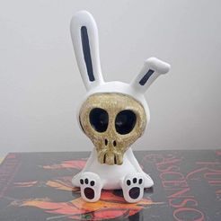 WhatsApp-Image-2024-03-01-at-07.55.02-1.jpeg bunny skull pretty