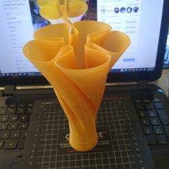 IMG_20200302_102423672.jpg Télécharger fichier STL gratuit Vase à contour extérieur en spirale • Objet à imprimer en 3D, EarlCropp