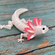 IMG_4014.jpg Free STL file ARTICULATED AXOLOTL - PRINT-IN-PLACE ARTICULATED REALISTIC AXOLOTL・3D printable model to download