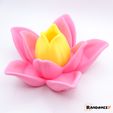 Multifunctional-Lotus-Flower_1.jpg 3D-Datei (Multifunktionale) Lotusblume・Design für 3D-Drucker zum herunterladen