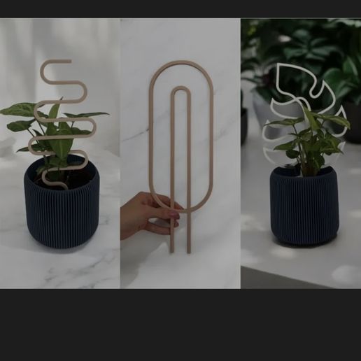 Plant climbing support - 3D model önizlemesi