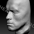 ArnoldSchwarzenegger_Head3dScan19.jpg 3D-сканированное изображение головы Арнольда Шварценеггера Lifecast Head (Терминатор, T800, Хищник, Конан-варвар, Коммандос, Полный отзыв, Правдивая ложь, Бегущий человек)