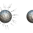 Ovum_Matcap_2.png Human Fertilization of Sperm and Egg cell (Ovum)