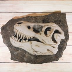 IMG_20200709_220459.jpg Descargar archivo 3MF gratis skull fossil t-rex・Modelo para la impresora 3D