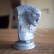 333.jpg Orc Berserker Bust