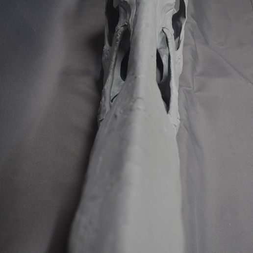 Closeup_facebook02.jpg Crâne fossile de Ptéranodon taille réelle