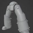WhatsApp-Image-2023-01-16-at-22.27.10.jpeg Destroyer Cadre Legs (Gen4)