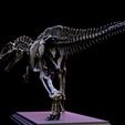 acr06-1.jpg Acrocanthosaurus skeleton.