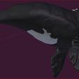 Ballena Entrega 4.PNG Кит