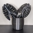 PXL_20210721_215800846.jpg STL file Ribcage trellis・3D printing template to download