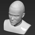 jesse-pinkman-breaking-bad-bust-ready-for-full-color-3d-printing-3d-model-obj-stl-wrl-wrz-mtl (34).jpg Jesse Pinkman Breaking Bad bust ready for full color 3D printing