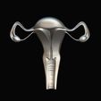 Female-Reproductive-System-9.jpg Female Reproductive System