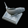 Dentex-trophy-55.png fish Common dentex / dentex dentex trophy statue detailed texture for 3d printing