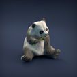 Panda_8.jpg Datei 3D Großer Panda・Design für 3D-Drucker zum herunterladen, AnimalDenMiniatures