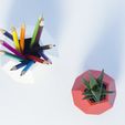 P2160288.jpg Файл STL Dodecaedro planter・Модель для загрузки и 3D печати