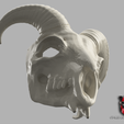 Schemat-nakladka-do-zdjec-2026-02-02T191125.553.png Realistic Goat Skull Mask – Wearable Halloween & Dark Fantasy Prop 1:1 Cosplay Replica