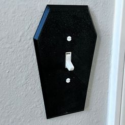 60.jpg Coffin ligth switch cover