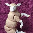 IMG_20250403_144719166.jpg Articulated Sheep