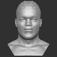 1.jpg Fichier STL Un buste de Joe Joyce pour l'impression 3D・Design pour imprimante 3D à télécharger