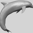 27_TDA0613_Dolphin_03A06.png Dolphin 03