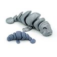 DSC01413-copia.jpg STL-Datei Articulated Manatee・3D-Druck-Idee zum Herunterladen