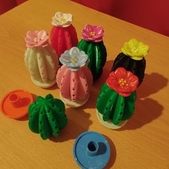 11.jpg 3D file Cactus toothpick holder・3D printable model to download