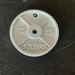 Imagen-de-WhatsApp-2023-11-29-a-las-14.38.32_6684484d.jpg key ring weight disc