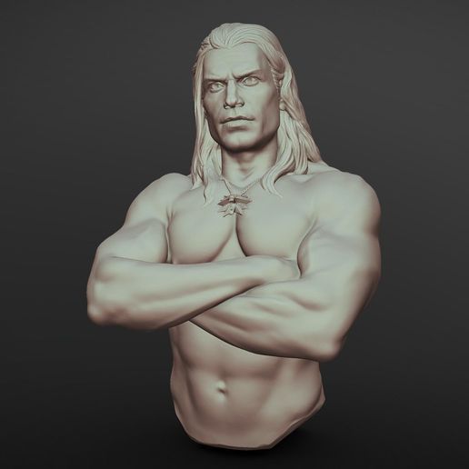 The Witcher 3D Bust Model Printable 3D model