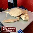 TurtleWood.jpg Fichier STL Cute Flexi Print-in-Place Turtle (tortue à imprimer)・Modèle à télécharger et à imprimer en 3D, FlexiFactory