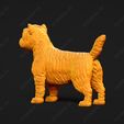 3075-Cairn_Terrier_Pose_01.jpg Cairn Terrier Dog 3D Print Model Pose 01