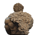 3.528.png Zodd Bust 3D Print