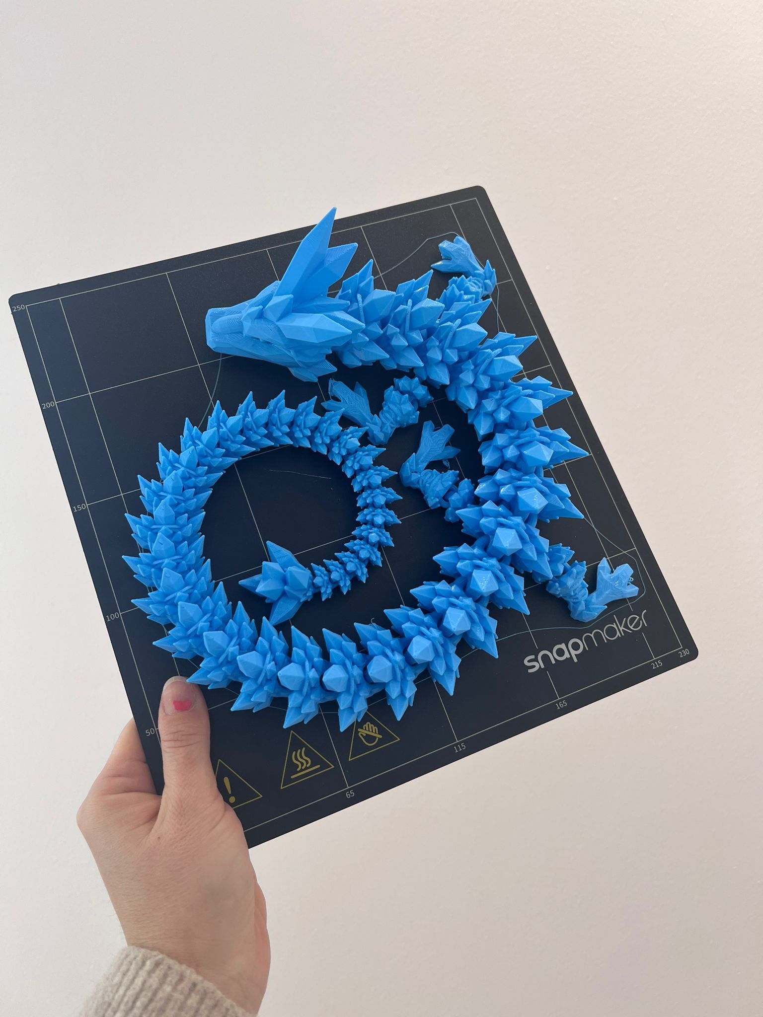 3d-printing-crystal-dragon-articulating-flexi-wiggle-pet-print-in