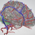 brain,-hemisphere,-cavernous,-human-brain,-brain-stem,-cerebral,-cranial,-nerve,-vein,-willis-circle.png Modèle de cerveau en 3D avec hémisphère, tronc cérébral, cervelet et système artériel et veineux très détaillé, y compris le cercle de Willis.