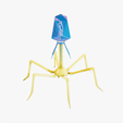 Bacteriophage_Tumbnail.png Bacteriophage Anatomy
