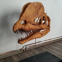 dilophosaurus-skull-part-2-2-3d-printing-238754.jpg OBJ file Dilophosaurus Skull・3D printing idea to download