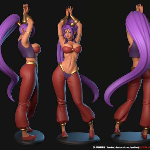 final_shantae_01.png Shantae ( 9+ variants )