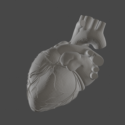 heart.png Fichier STL Coeur humain low poly・Design à télécharger et à imprimer en 3D, manukrafter