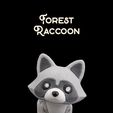 Forest-Racconthumb.jpg Forest Raccoon