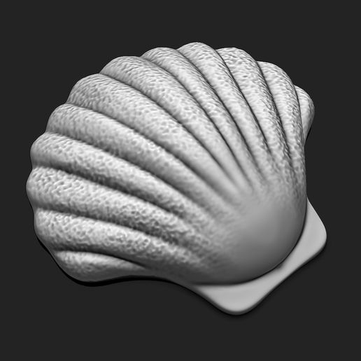 5.jpg Shell 11 - 3D Print - Aquarium