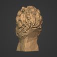 I12.jpg Low Poly Lion Bust